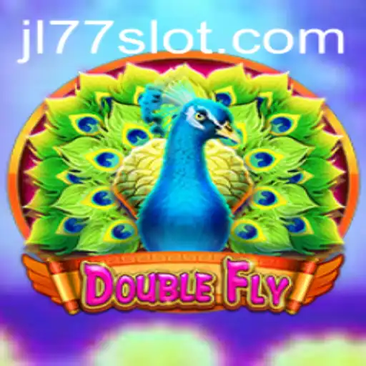 DoubleFly: A Journey Through Innovation and Adventure